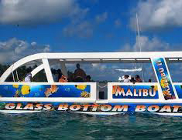 Bottom Glass Boat Adventure in Punta Cana