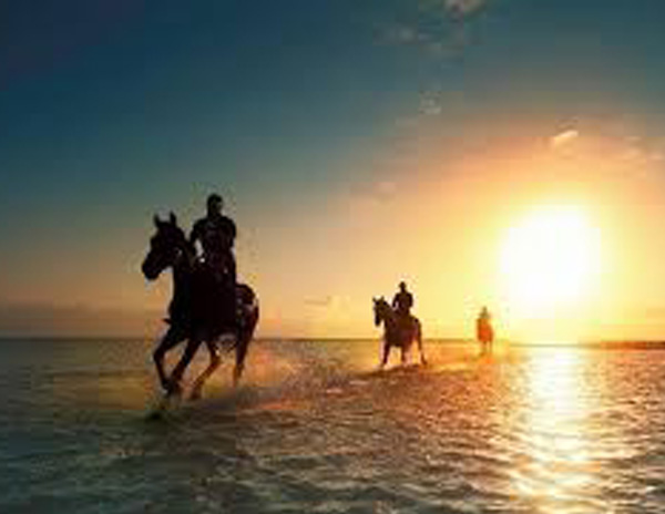 Sunset Horseback Riding Adventure in Punta Cana