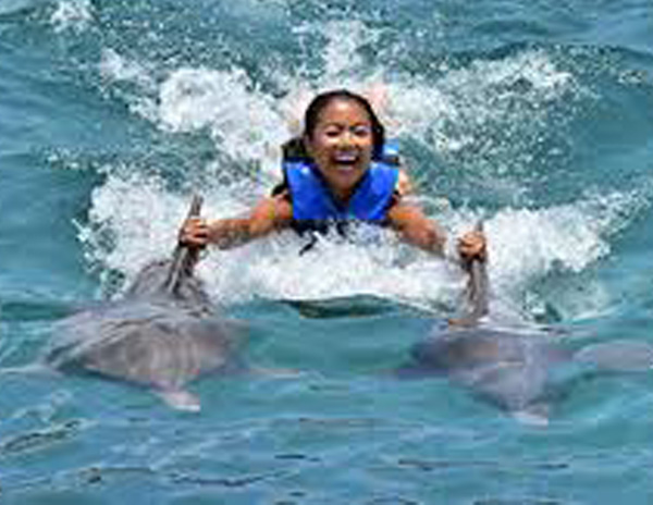 VIP Swimming with Dolphins in Punta Cana