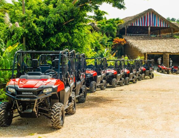 Monkeyland + Jungle Buggies Punta Cana