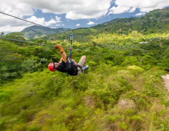 Zip Line & Monkeyland Adventure Punta Cana