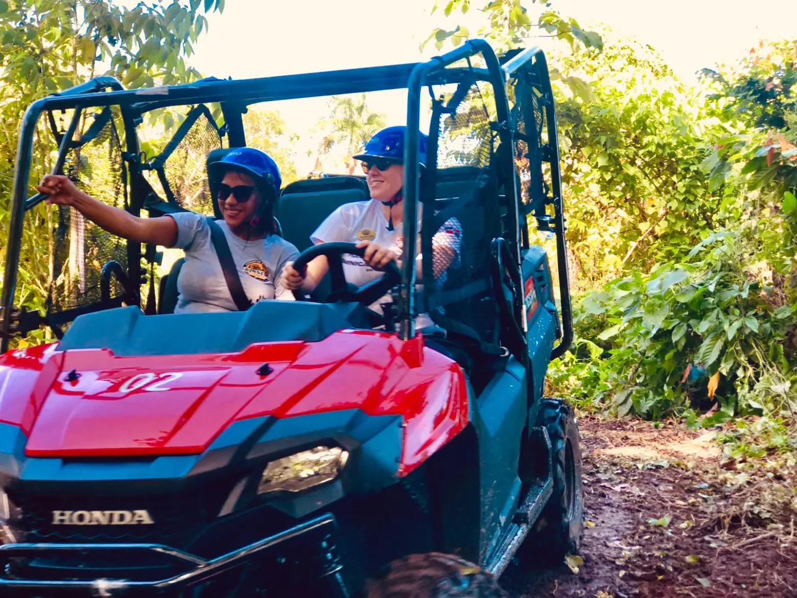 Jungle Buggies Adventures