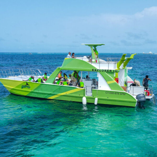 Triple AAAdventure (Zipline, Catamaran + Buggys)